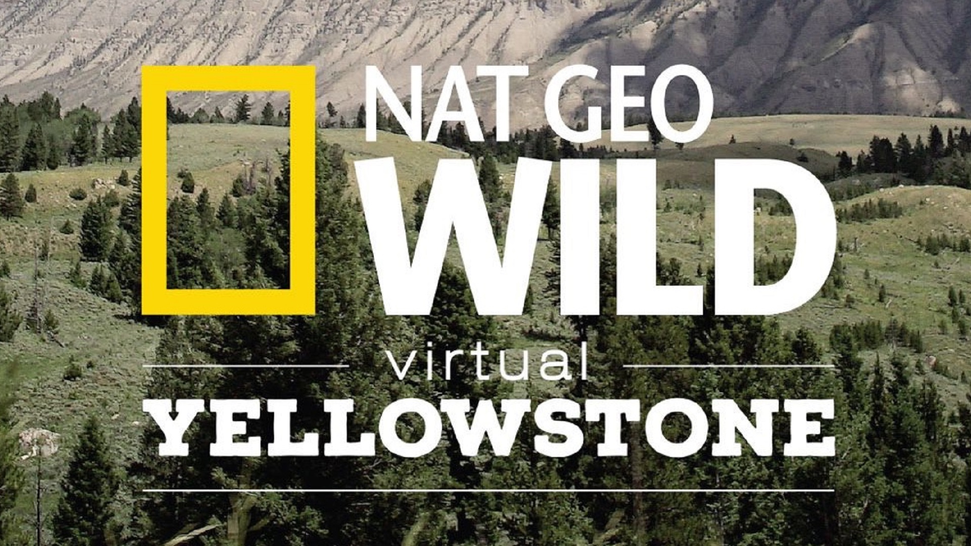 Virtual Yellowstone